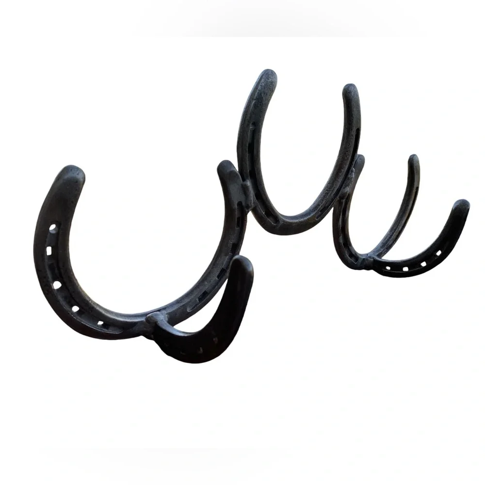 Iron Metal Horseshoe Wall Rack 2 Hook Coat Hat Storage Western Cowboy FIRM $